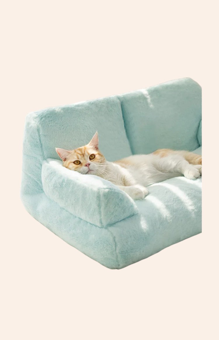 10-Photoroom-woodycats