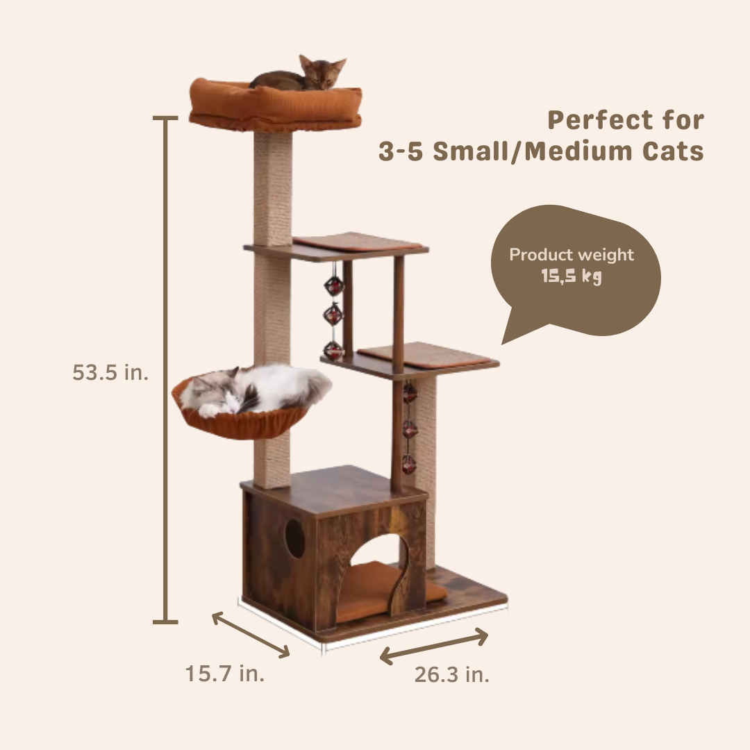 1_-_Kopie-woodycats