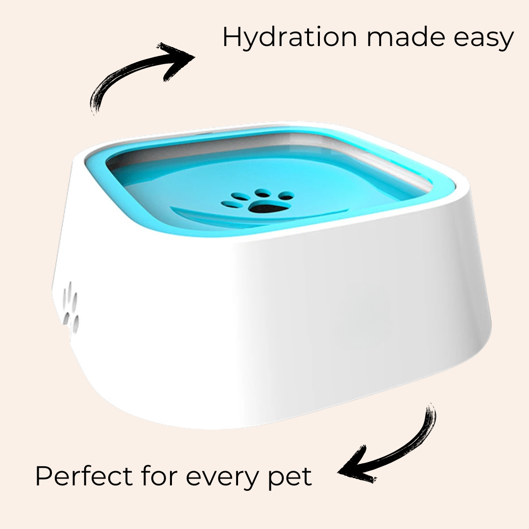 HydroFlow™ Anti-Schlabber Wassernapf-woodycats