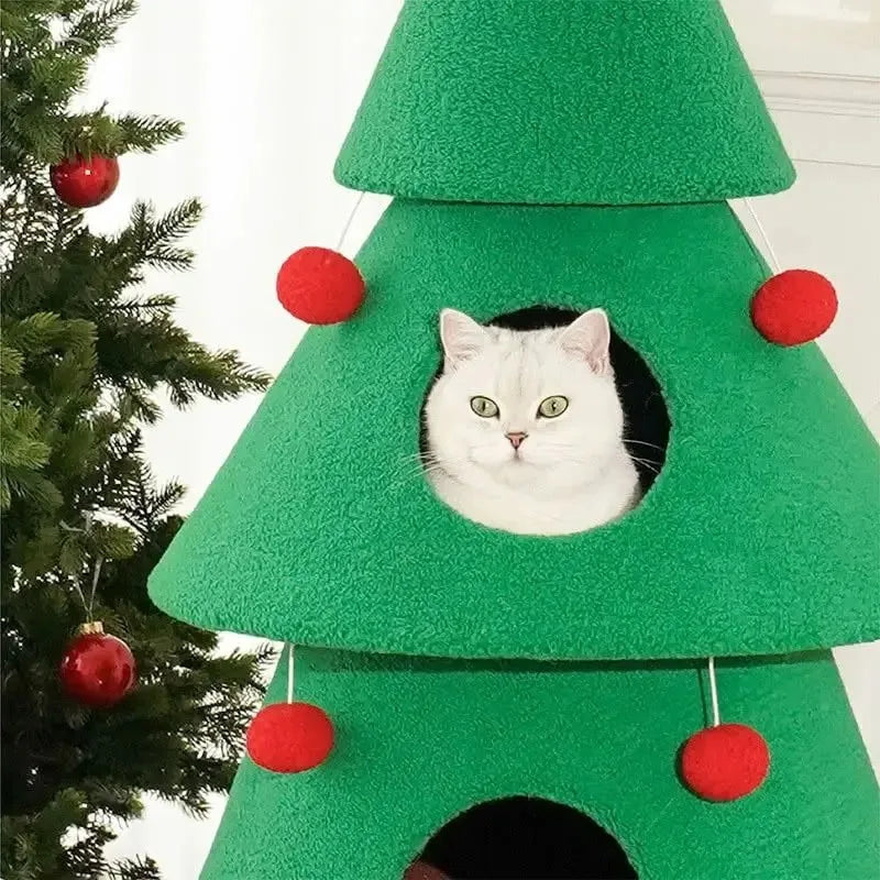 2_8af97867-103b-4676-8102-85b8ceab2e13-woodycats