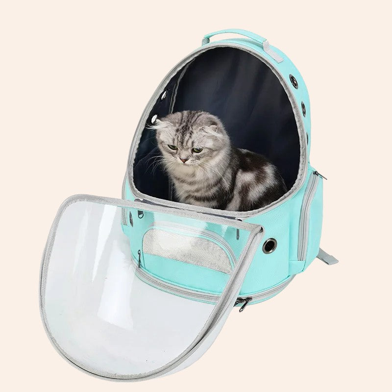 4-Photoroom_1_7b9b4c1c-02fd-45b8-af83-4b83f49eb7e9-woodycats