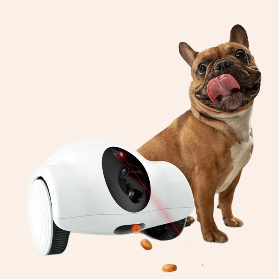 PawBot™ – Der interaktive Haustierroboter mit Futterausgabe & Kamera-woodycats