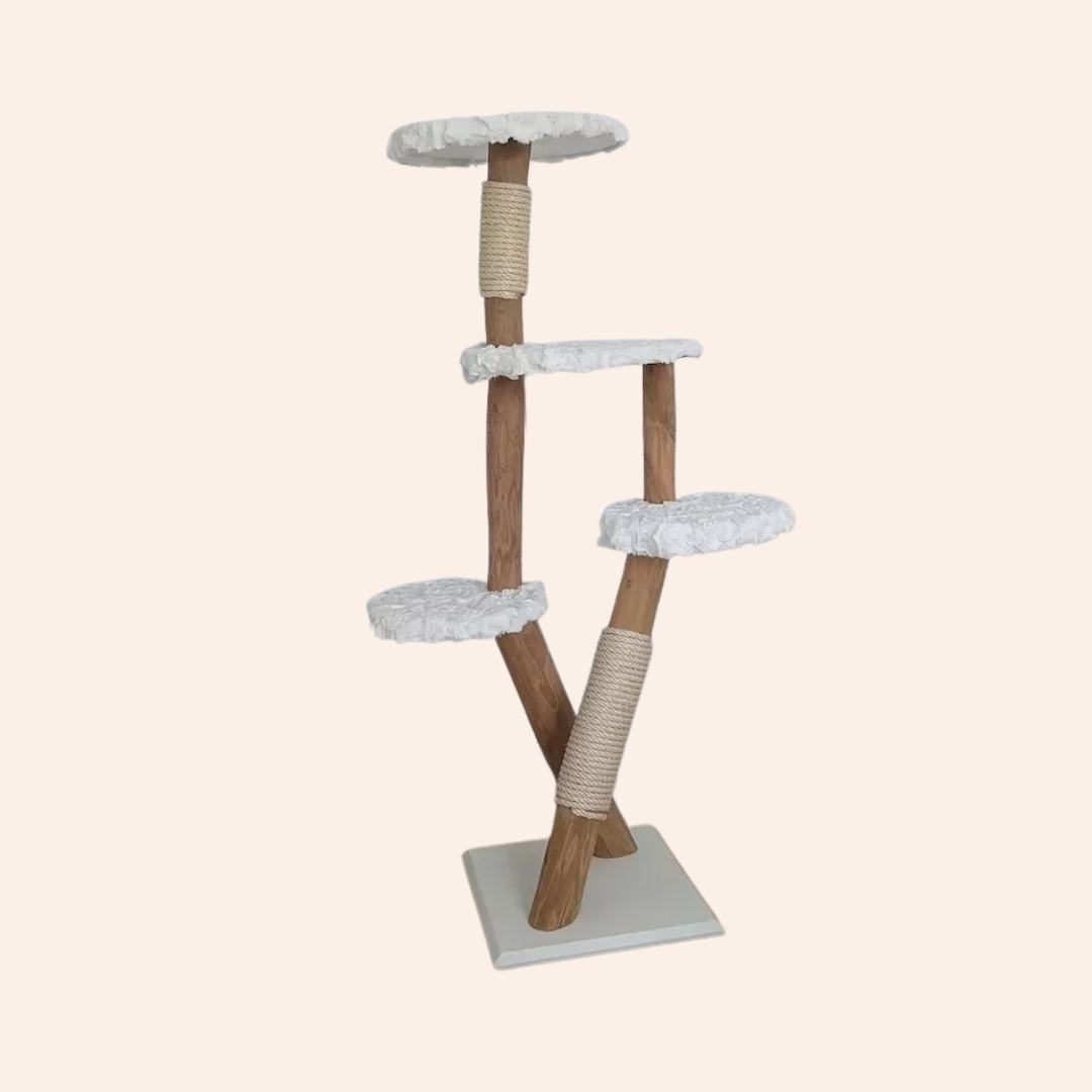 WoodyCats Natura – Der exklusive Naturholz-Katzenbaum-woodycats