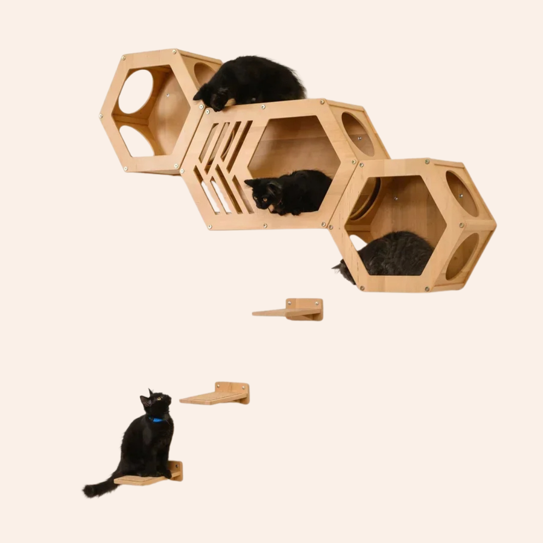 WoodyCats HexoHome - perfekte Katzenwand-woodycats