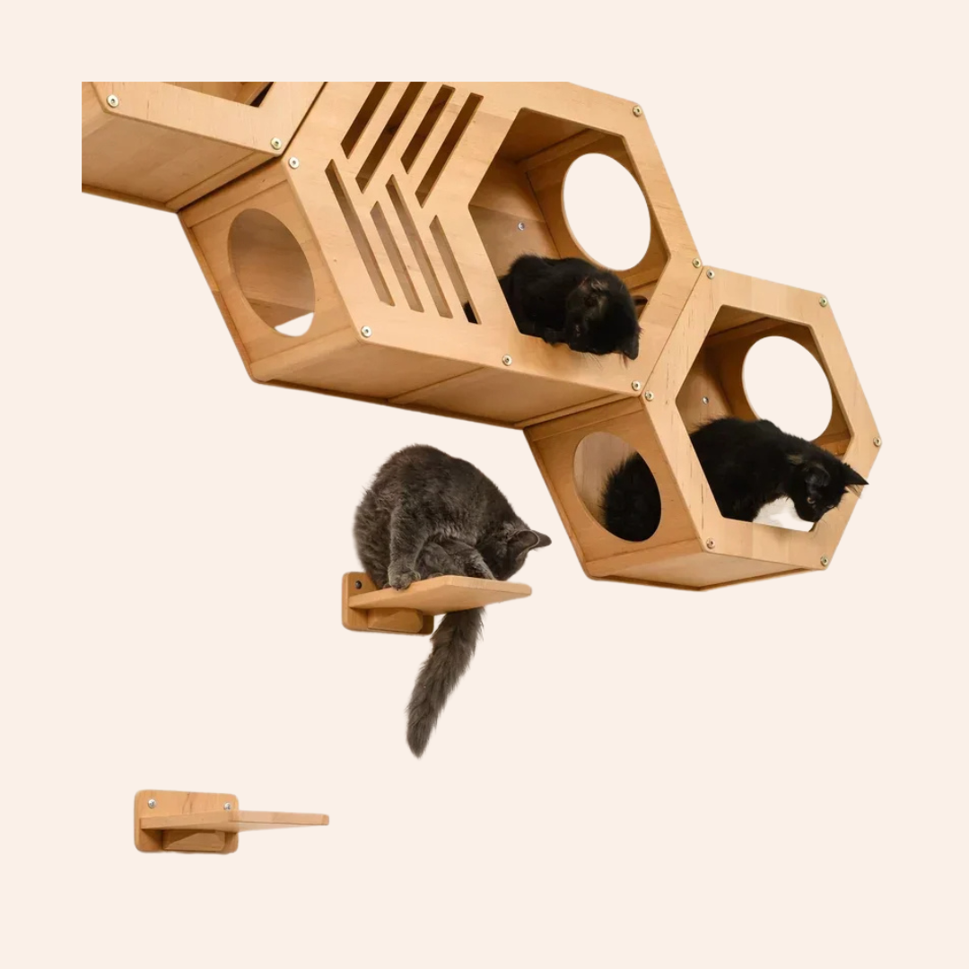Design_ohne_Titel_42-woodycats