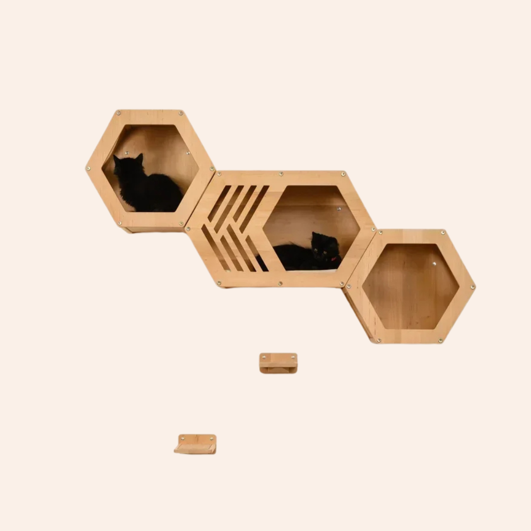 Design_ohne_Titel_43-woodycats