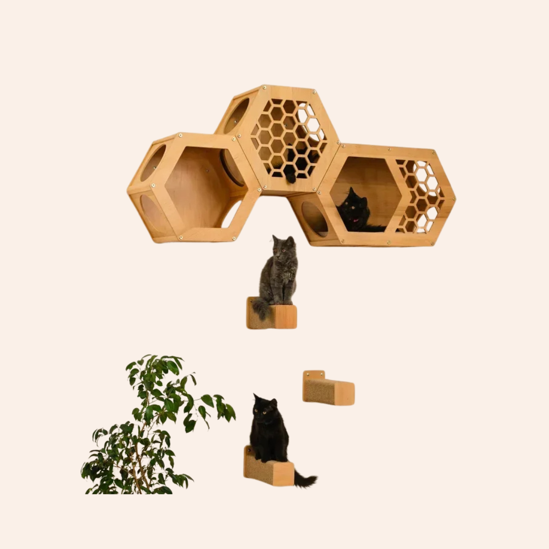 Design_ohne_Titel_44-woodycats