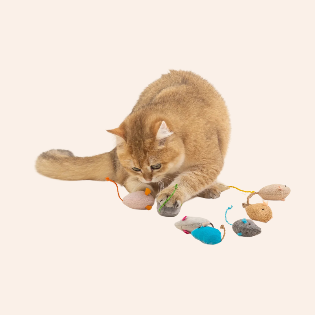 Multi-color_optional_-_2025-01-27T193223-woodycats