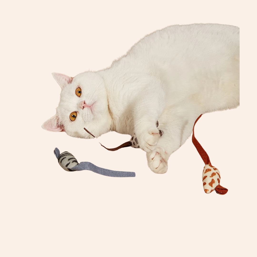 Multi-color_optional_-_2025-01-27T193357-woodycats