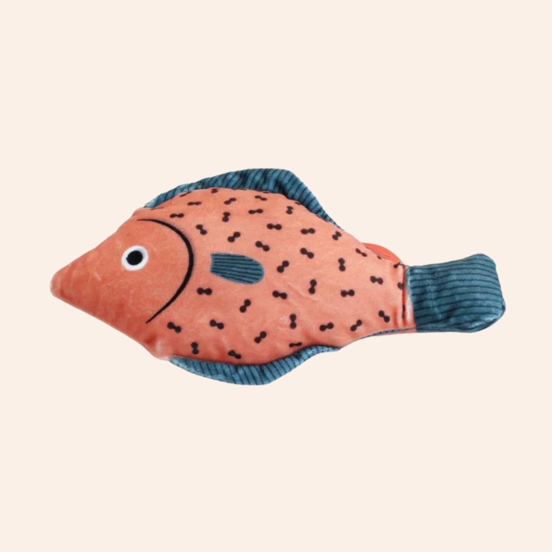 FinnyPurr – Das realistische Fisch-Katzenspielzeug-woodycats