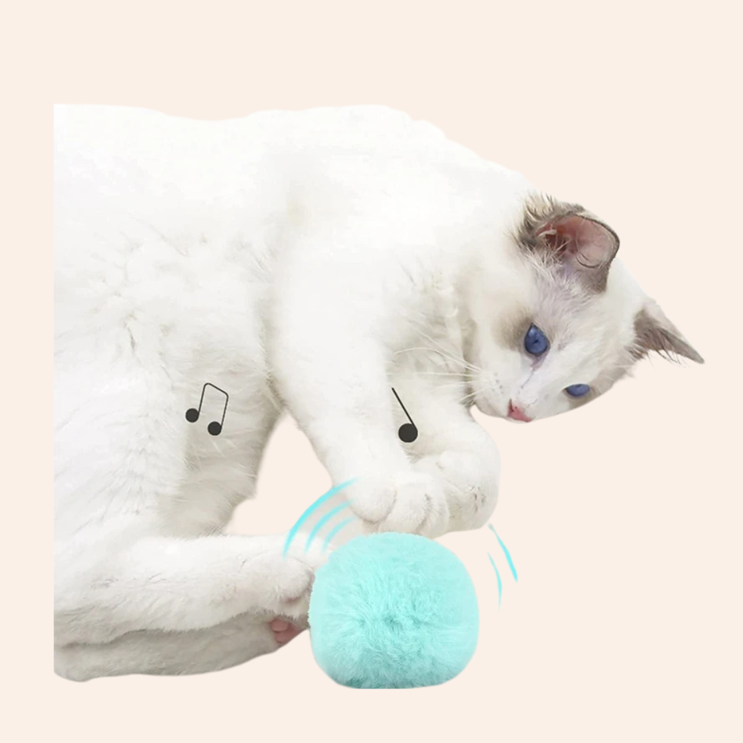 Multi-color_optional_-_2025-01-27T213155-woodycats