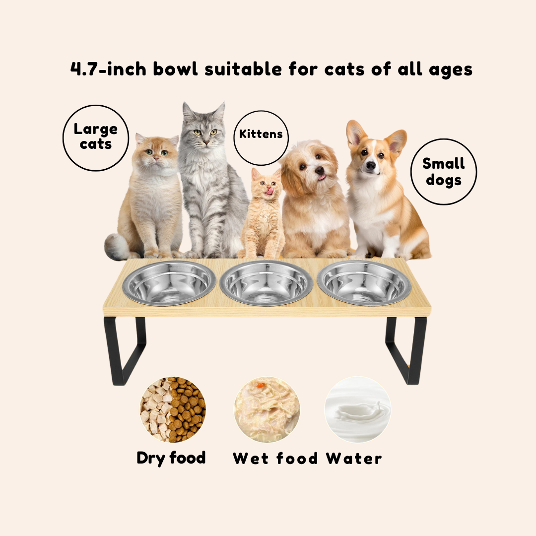 Multi-color_optional_12_290dfa45-0faf-4edf-ae4e-077b031000af-woodycats
