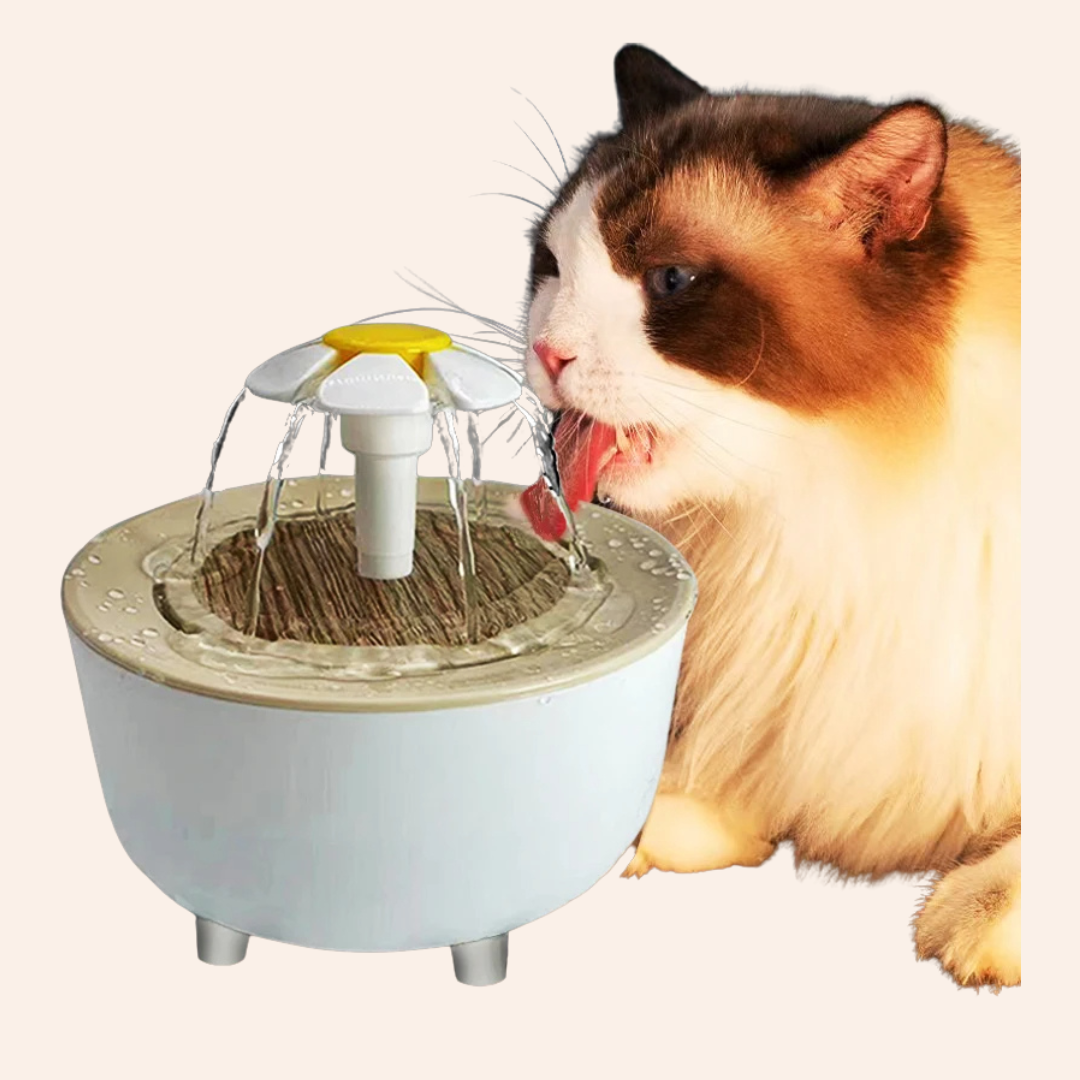 Multi-color_optional_31_f43c859a-6e22-4f12-997e-88fefabc1a42-woodycats