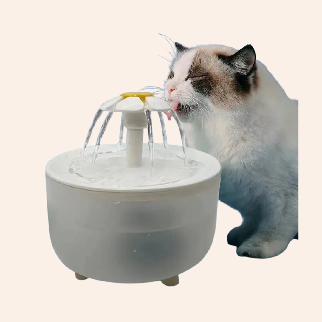 Multi-color_optional_32_5d174608-d0a9-406d-8c38-e6a1a6ab2b55-woodycats