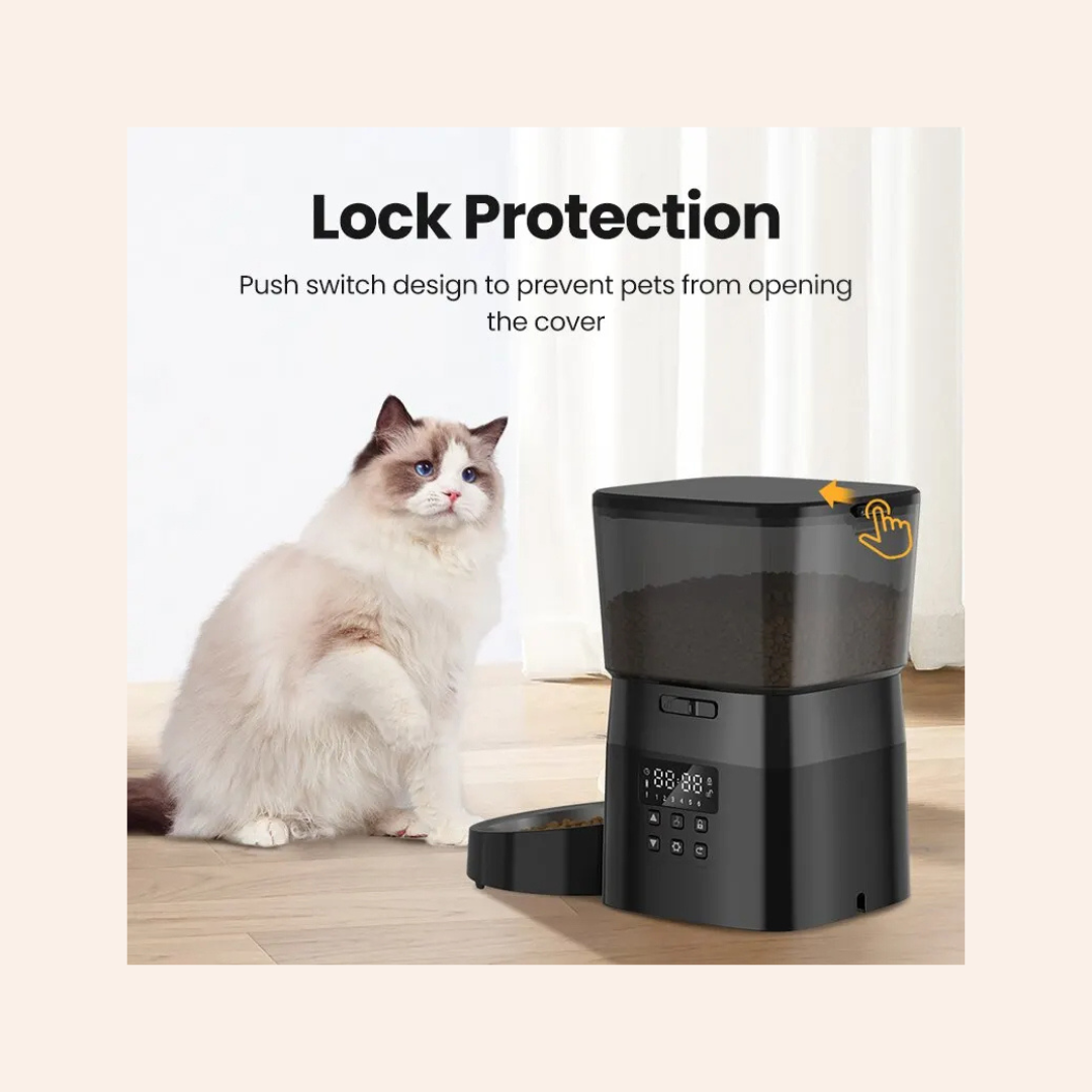 Multi-color_optional_80-woodycats