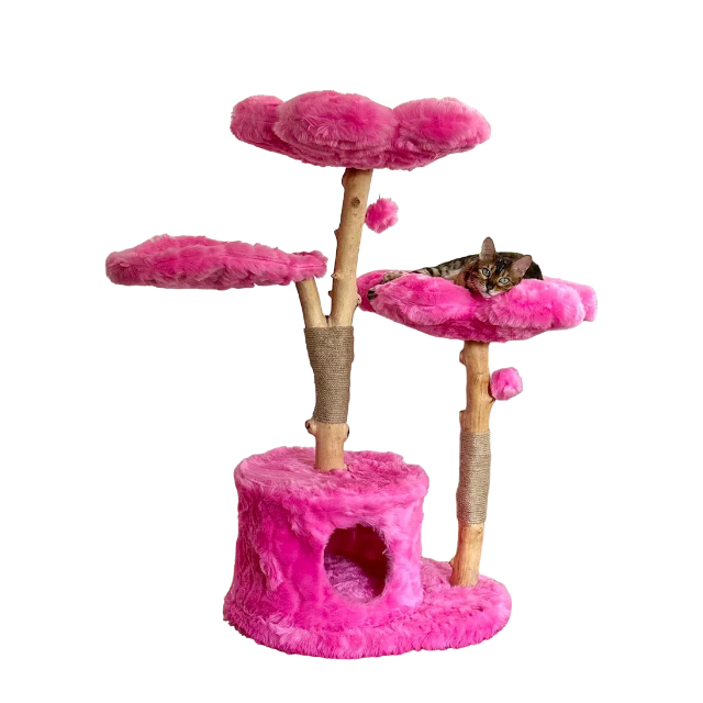 Cat Majesty – Luxuriöser Katzenbaum aus Holz in Vier Farben-woodycats