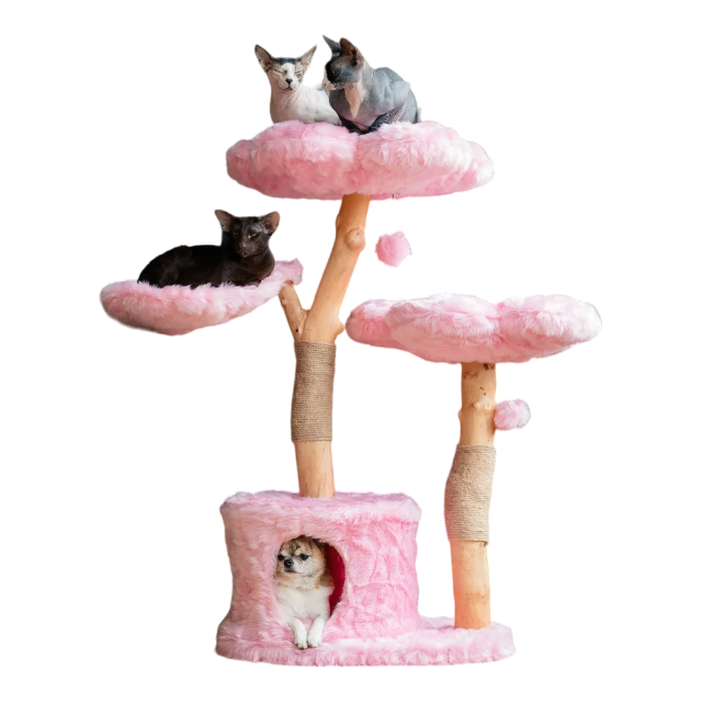 Cat Majesty – Luxuriöser Katzenbaum aus Holz in Vier Farben-woodycats
