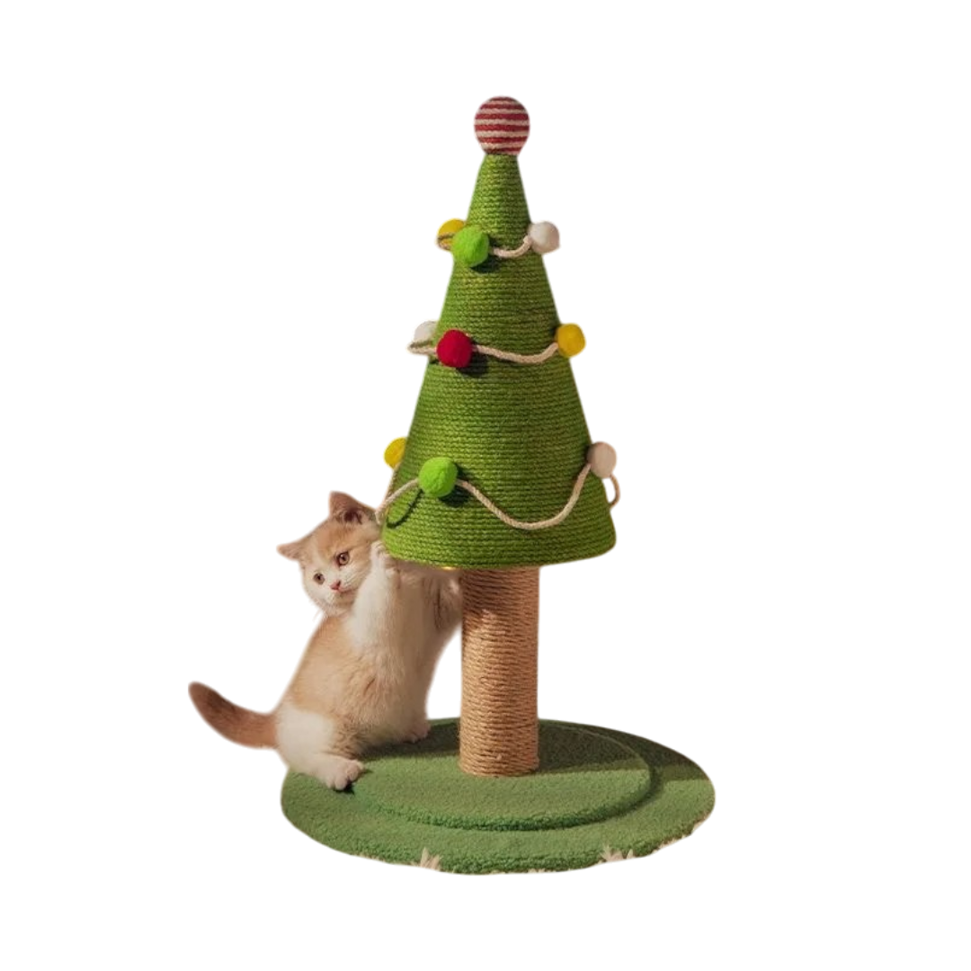 b_set_no_houese-Photoroom_2-woodycats