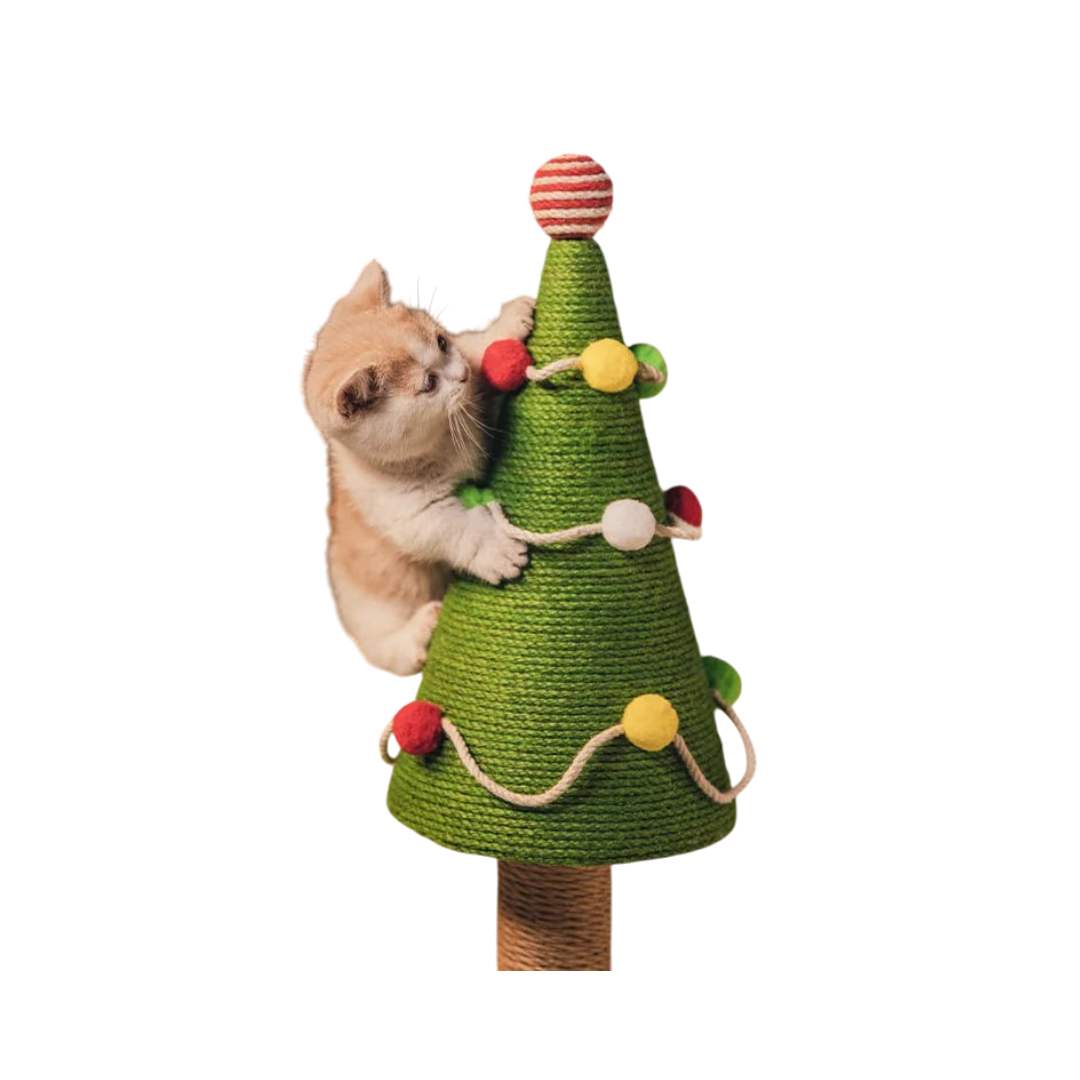 b_set_no_houese-Photoroom_3-woodycats