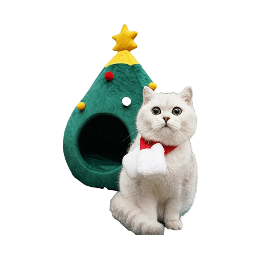b_set_no_houese-Photoroom_8-woodycats
