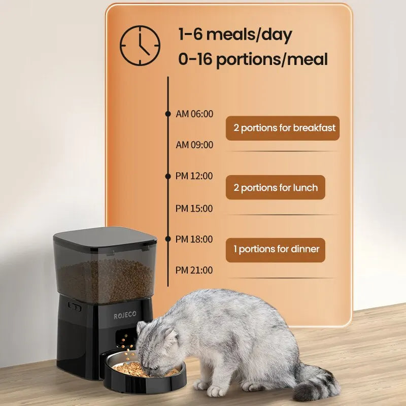 with_us_plug-woodycats
