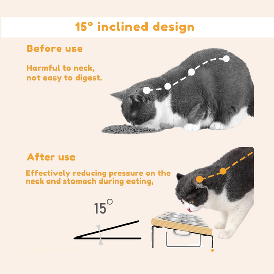 Warum ist ein erhöhter Napf mit 15°-Winkel so wichtig für Ihre Katze?-woodycats
