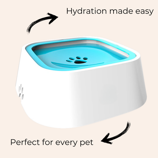HydroFlow™ Anti-Schlabber Wassernapf-woodycats