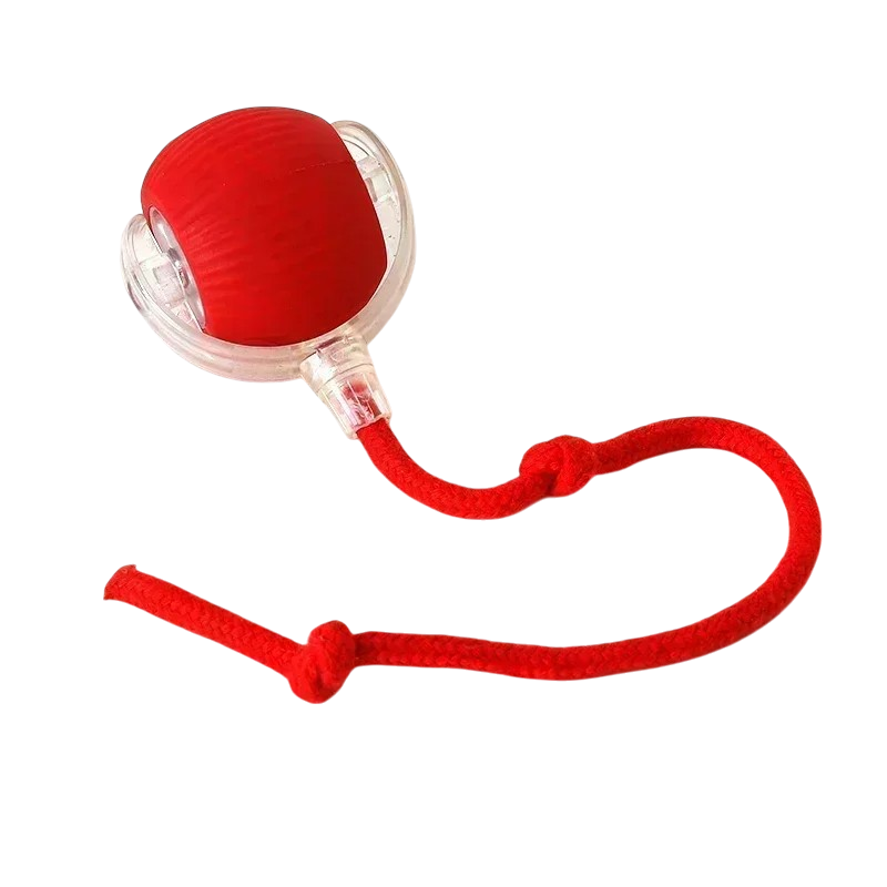 Tailzy™ - Interaktiver Spielball-woodycats