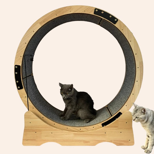 Premium Holz Katzenlaufband - Fitness und Spiel-woodycats