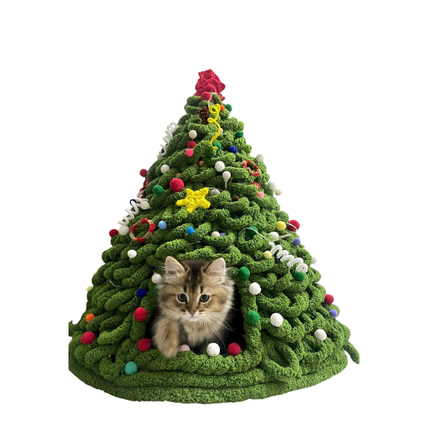 3-Photoroom_10_f11140cc-d3f5-4314-b66a-6a0d0e9d719b-woodycats