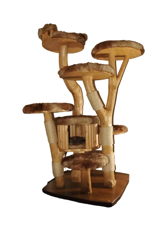 „Waldkönig“ - Der luxuriöse Katzenbaum aus Echtholz-woodycats