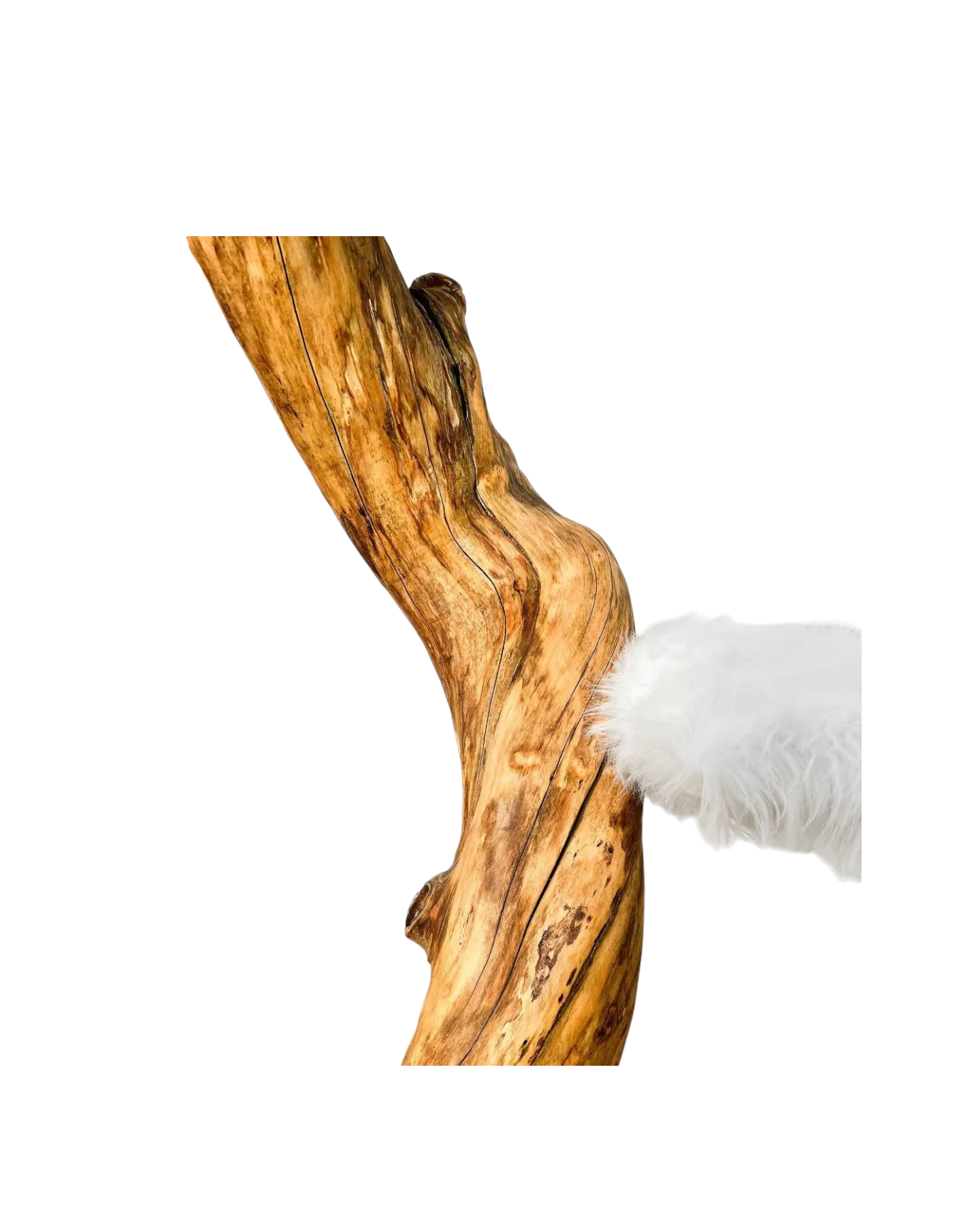 6-Photoroom_4-woodycats