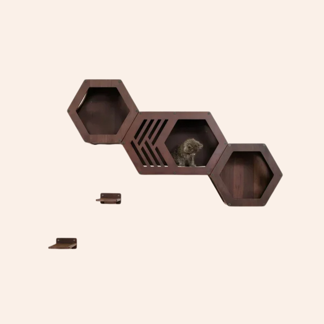 WoodyCats HexoHome - perfekte Katzenwand-woodycats