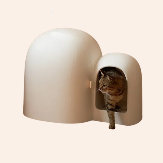 Nuvato – Die smarte Katzentoilette-woodycats