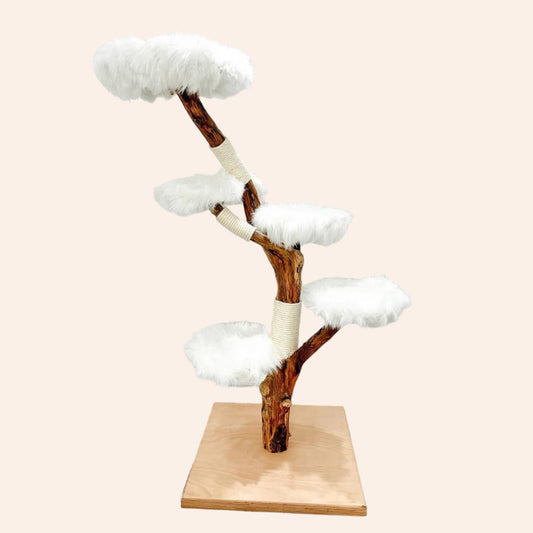 Moderner Luxus-Katzenkratzbaum-Turm für Wohnkultur-woodycats