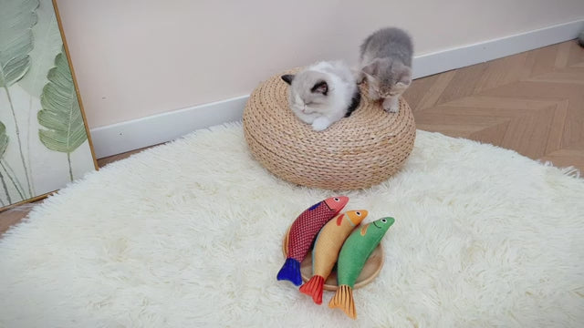 Video laden: 
