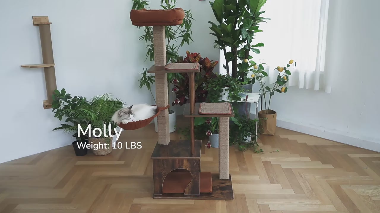 Video laden: 