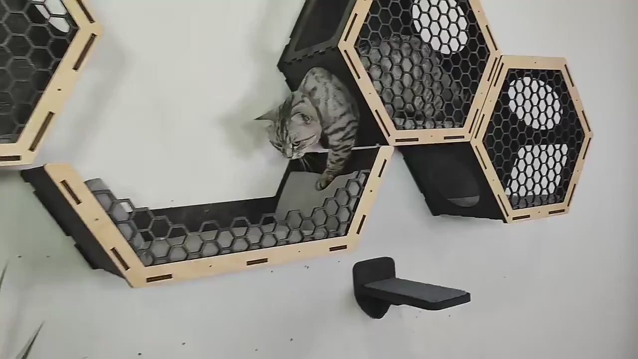 Video laden: 
